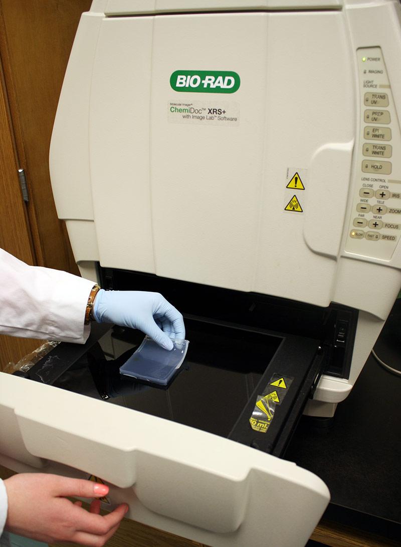 A picture of a gel blot imaging system